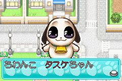 Amazon.co.jp: わんこみっくす ~ちわんこワールド~ : Video Games